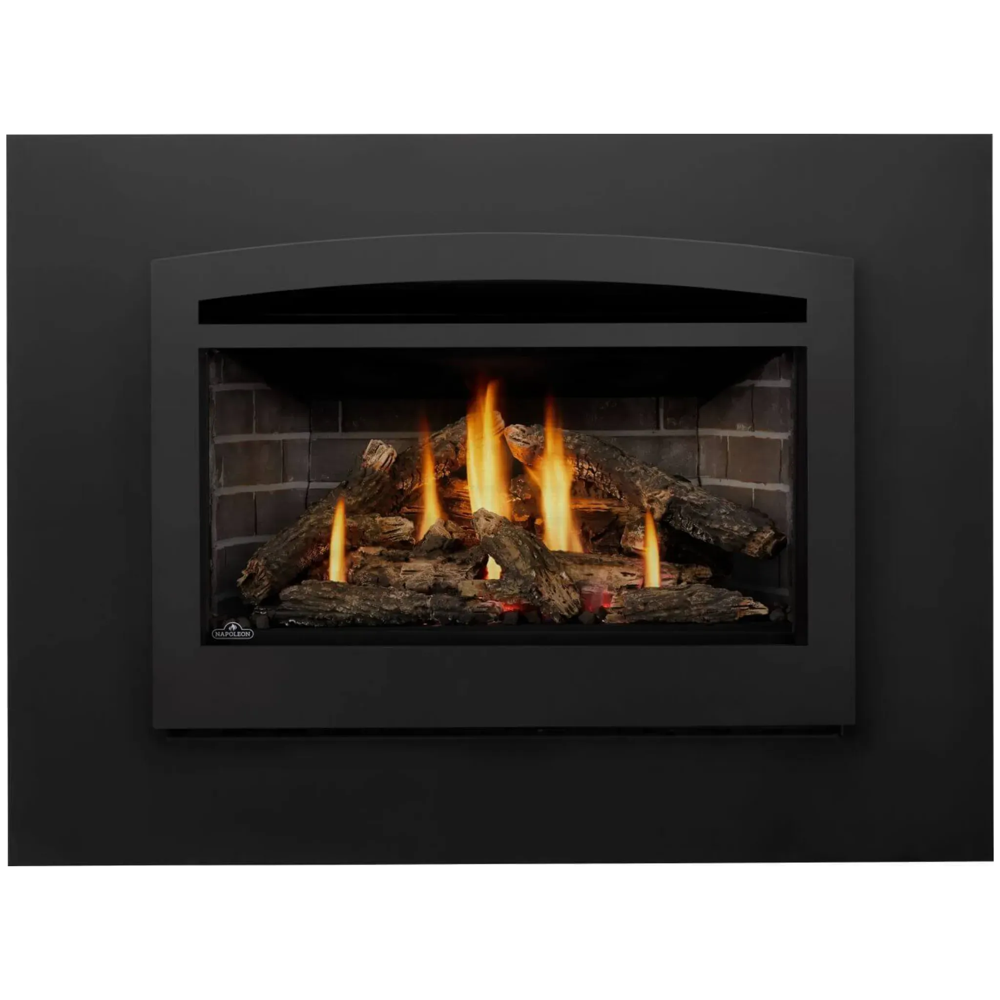 Napoleon Rosedale 3 direct vent gas fireplace insert