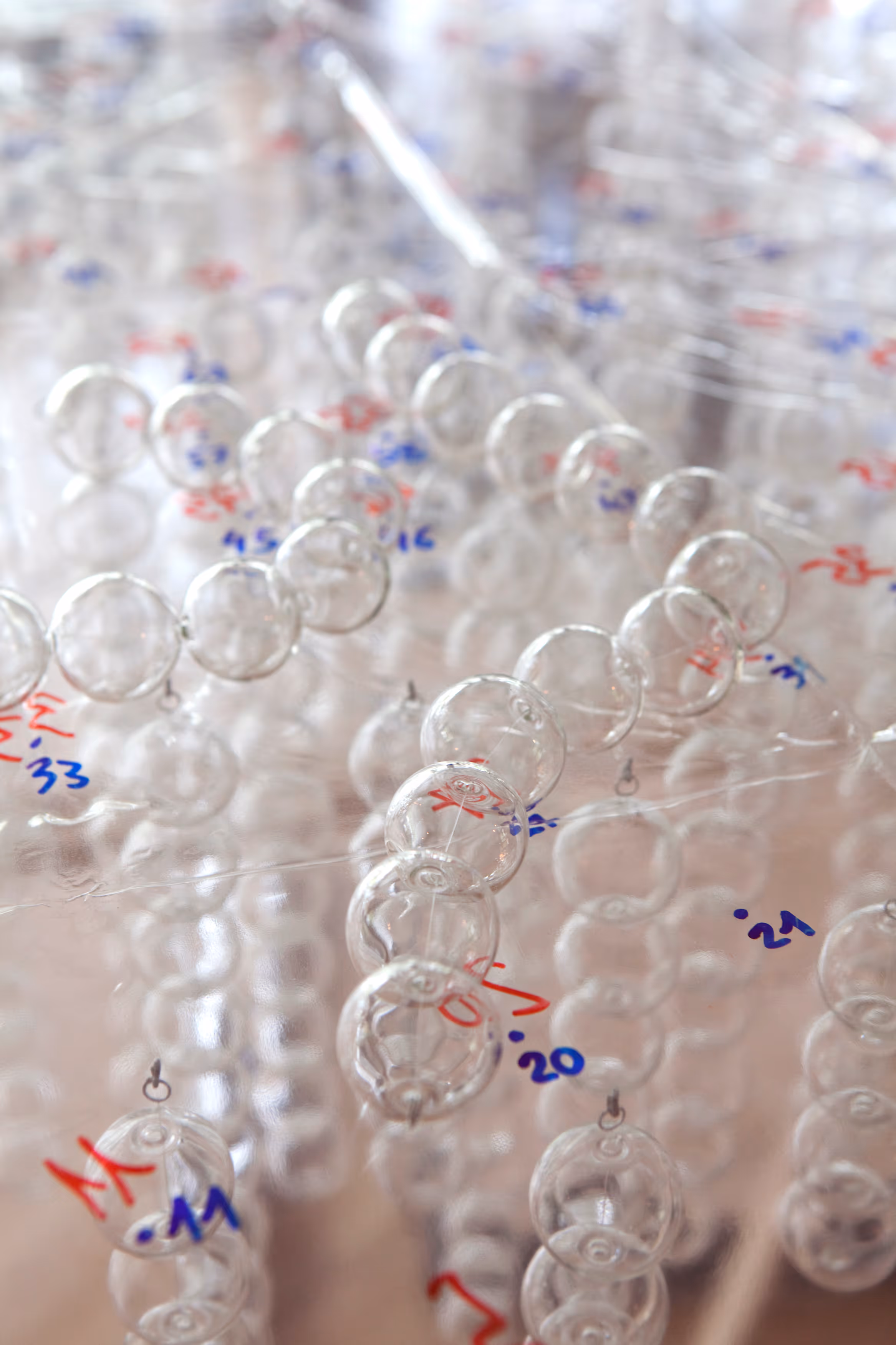 Close-up of transparent glass spheres with handwritten blue and red numbers on them, arranged in rows on a reflective surface.