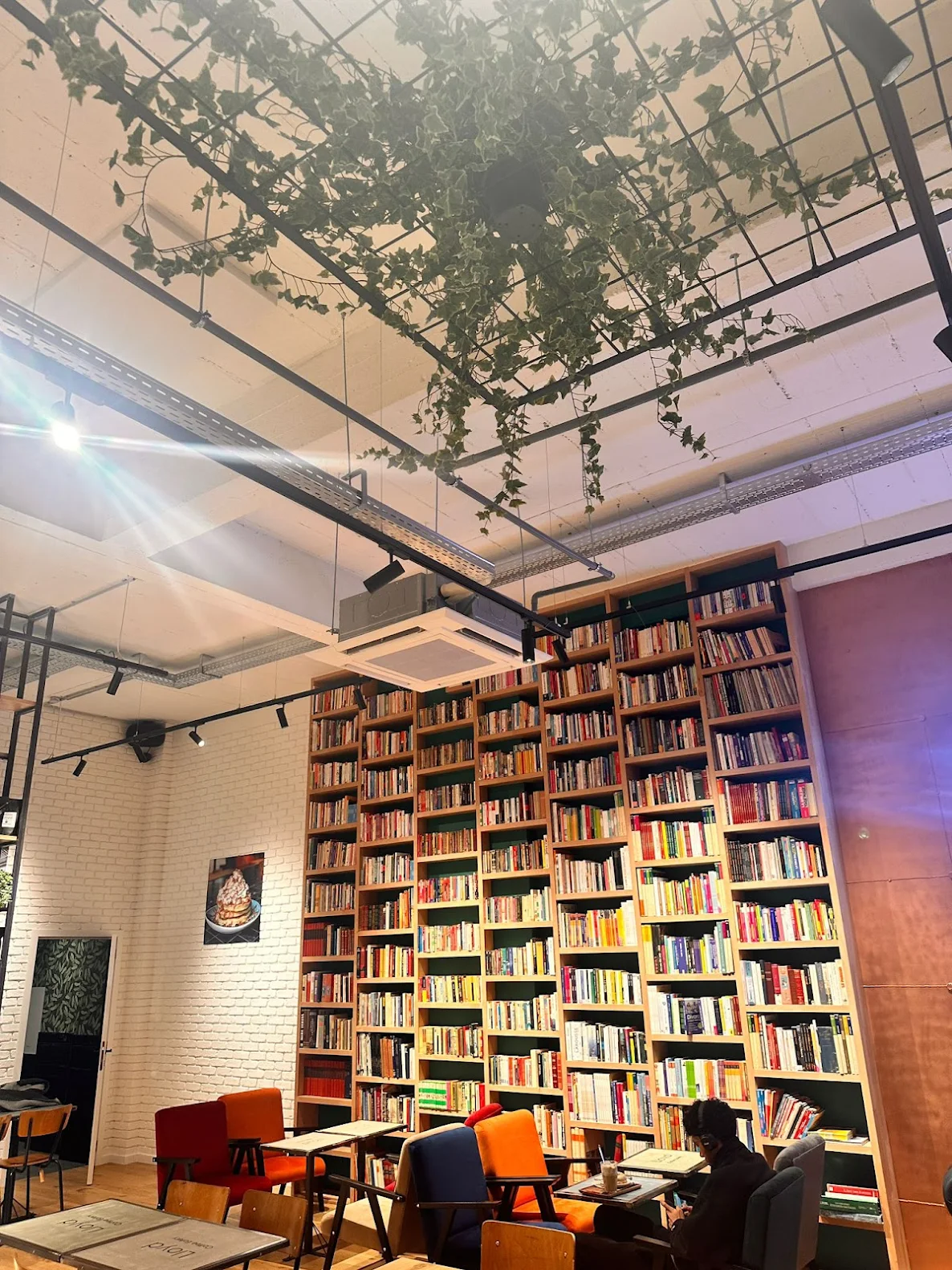 Cozy cafe interior with tall bookshelves filled with books, colorful chairs, and a plant hanging from the ceiling.