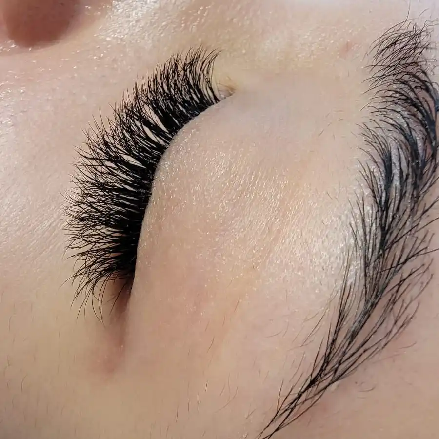 Extreme close up of lash line showing thick volume lash extensions with uniform density
