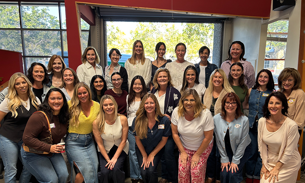 Get ahead with Insights from P11