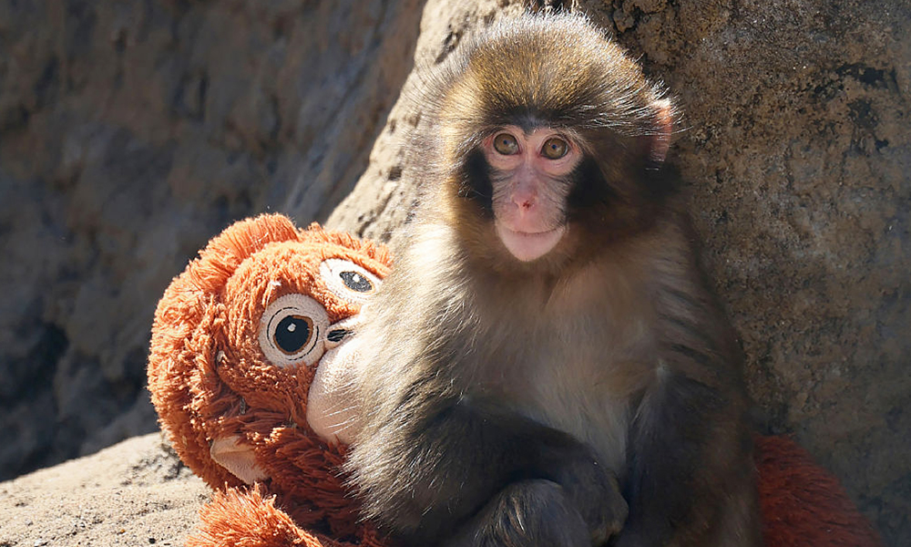 Get ahead with Insights from P11