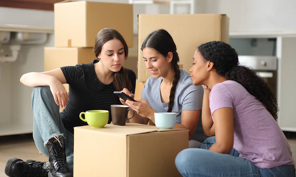 Get ahead with Insights from P11