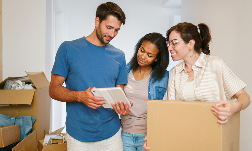 Get ahead with Insights from P11