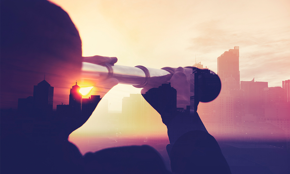 Get ahead with Insights from P11