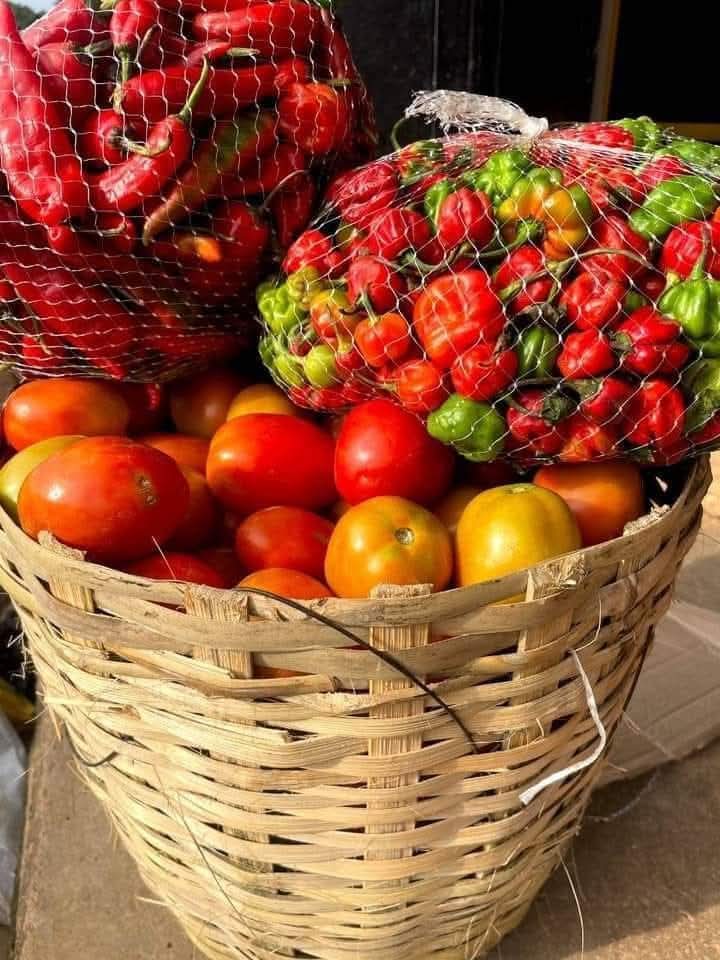 Fresh Organic Vegetables Bundle
