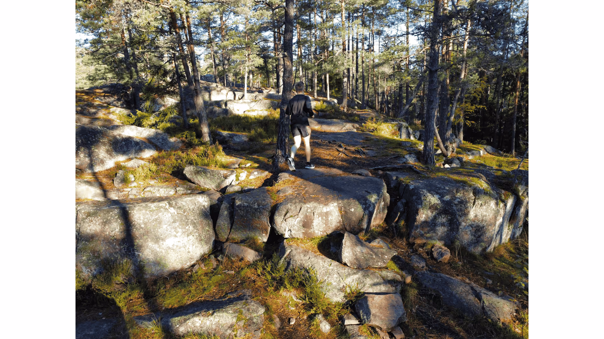 image of fundraising event (for a humanitarian aid nonprofit) - event participants engaging with charity booths