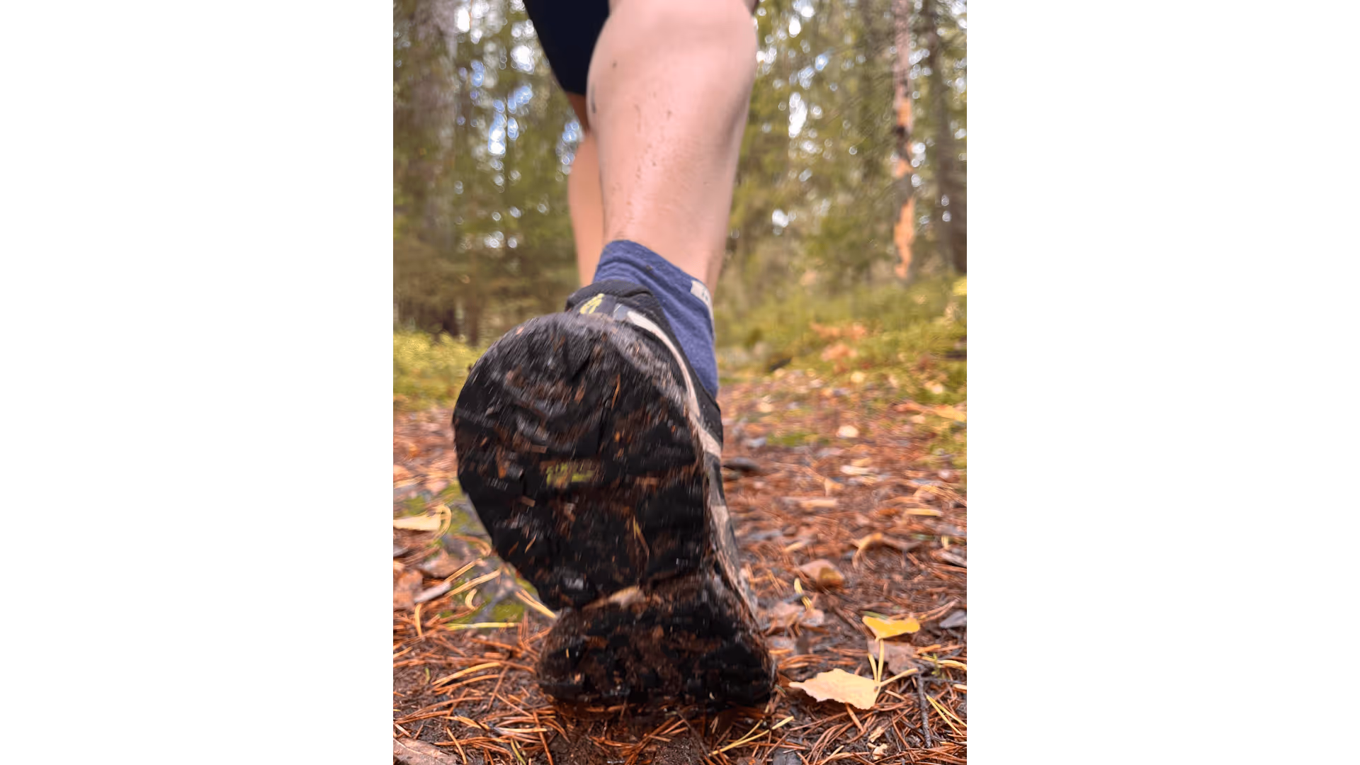 [background image] calm office setting (for a digital marketing & advertising agency)