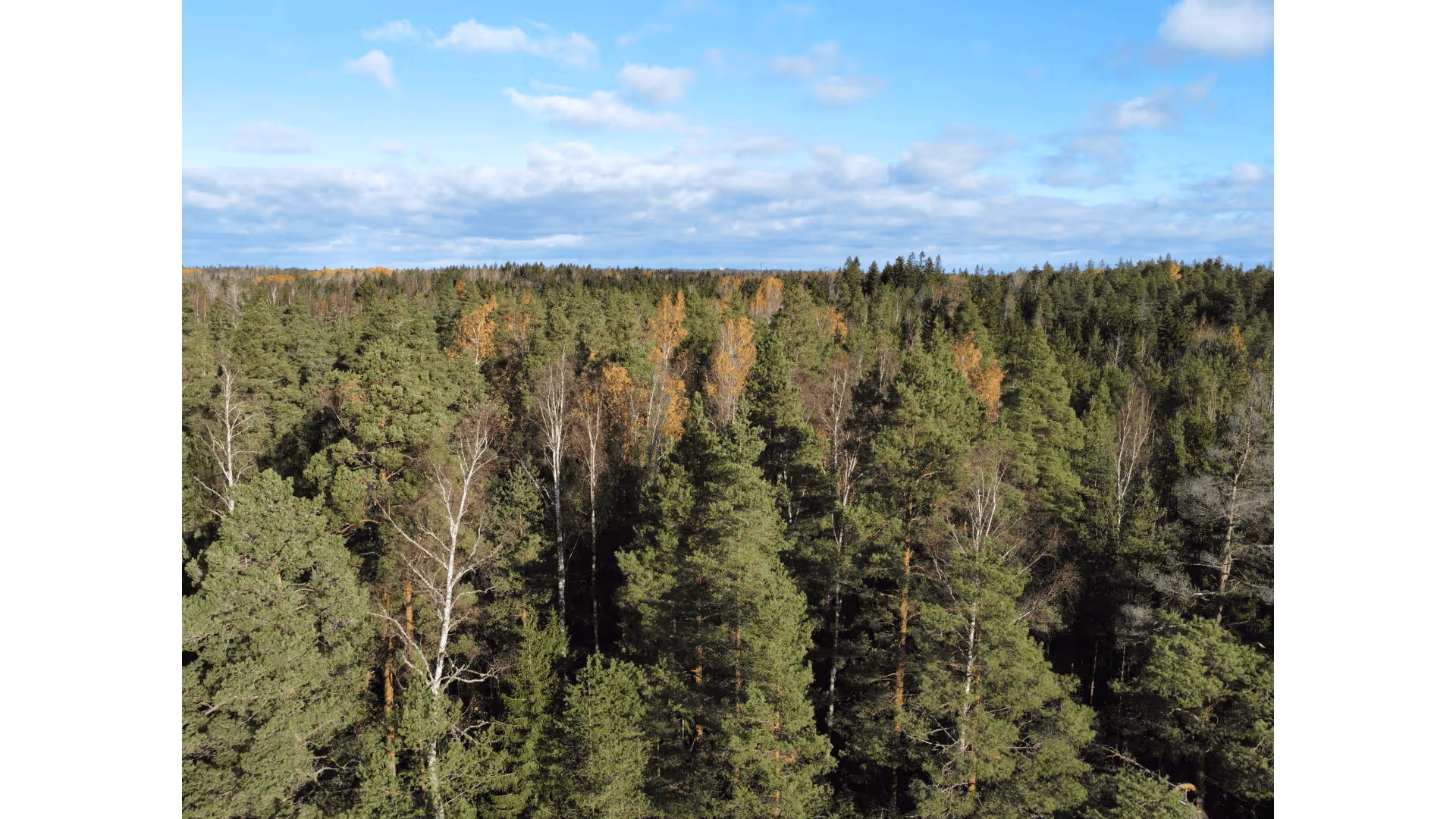 image of students at a university's welcome orientation