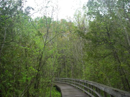 image of team working with local communities