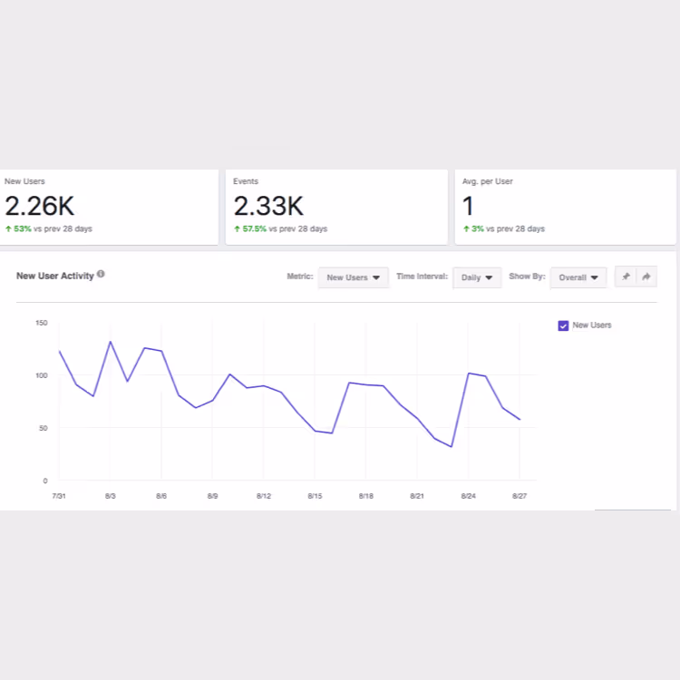 Traffic to Website After One Month