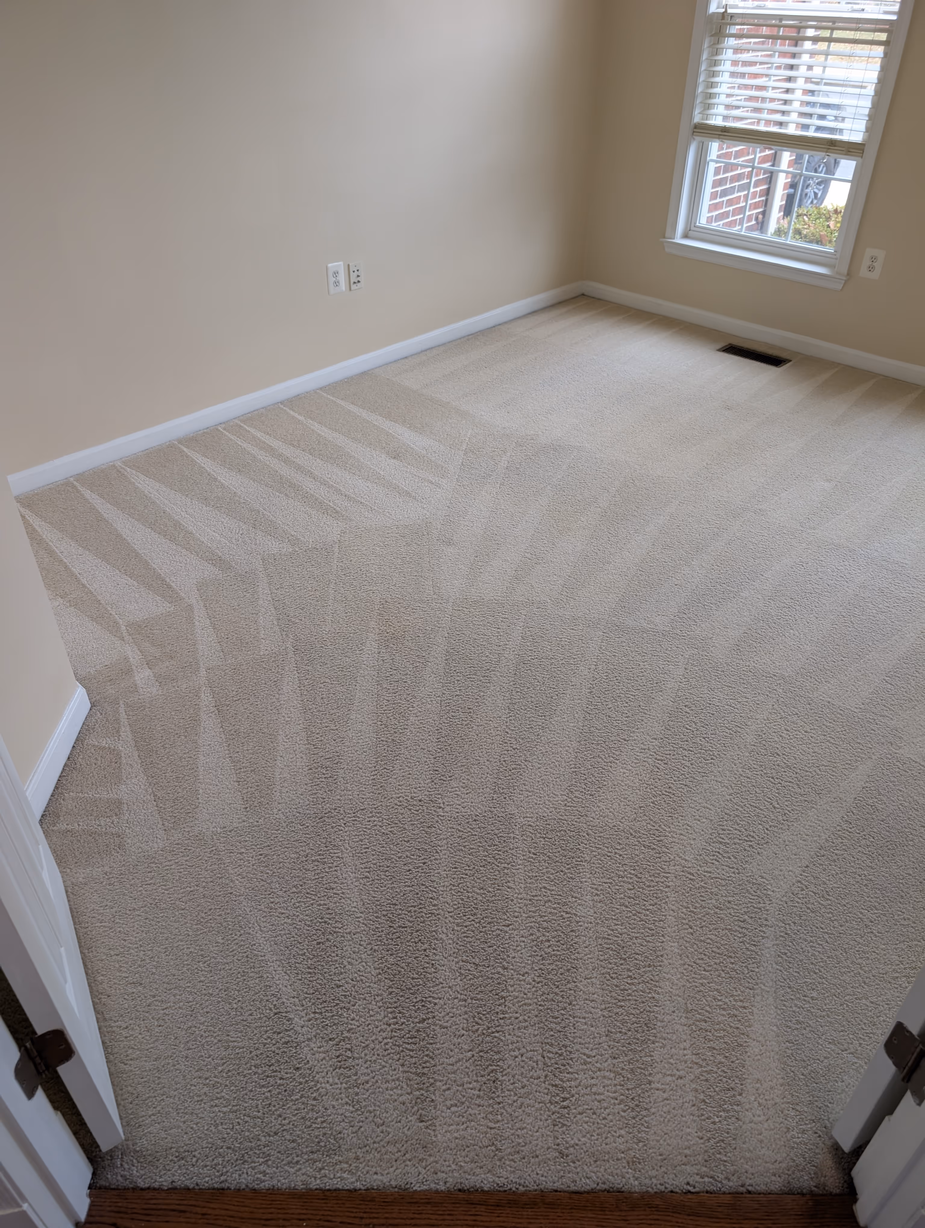 Empty room with freshly vacuumed light beige carpet showing uniform cleaning patterns and beige walls with a window on the right side.