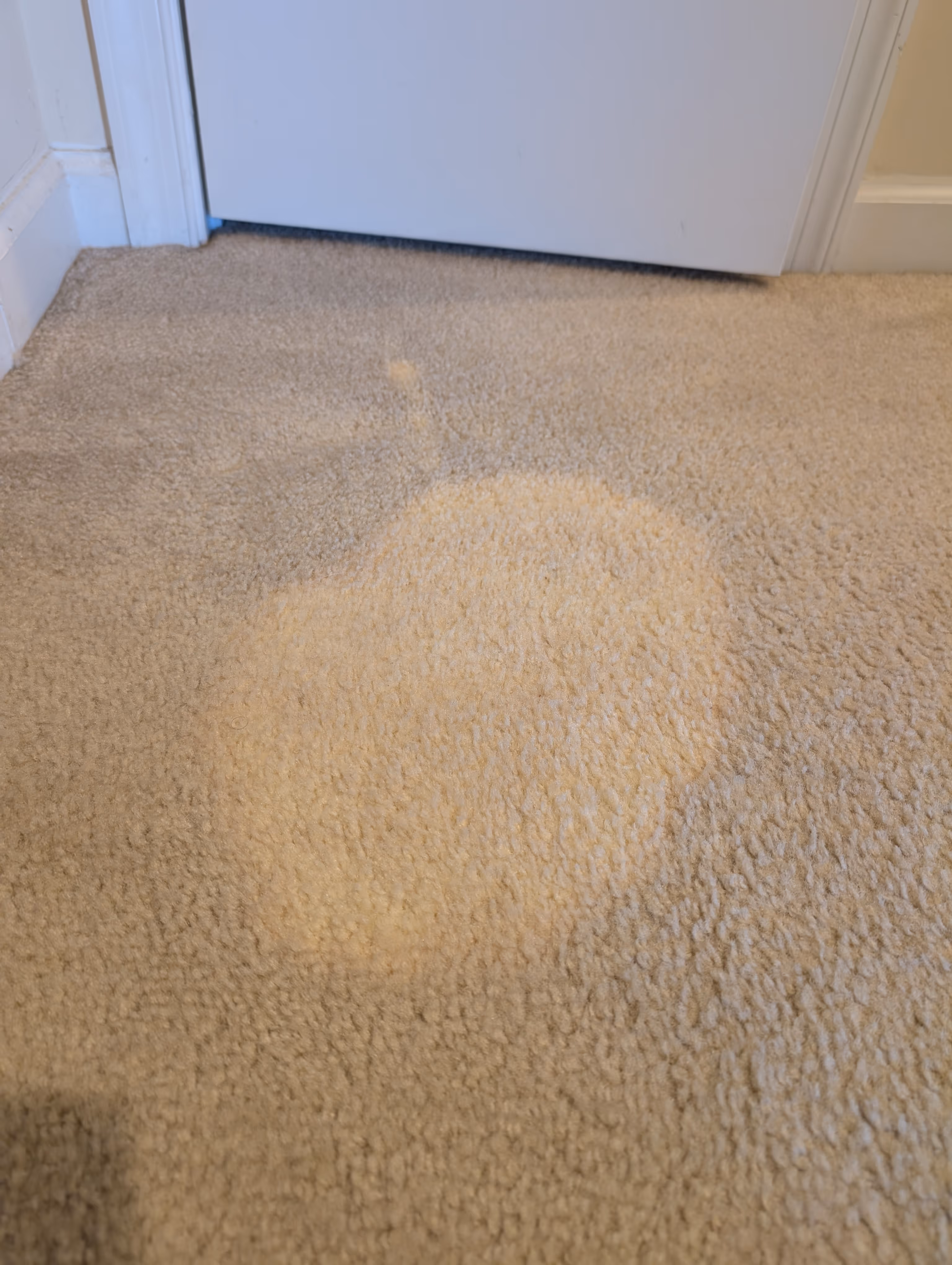 Light brown carpet with a large, irregularly shaped wet stain near a white door.