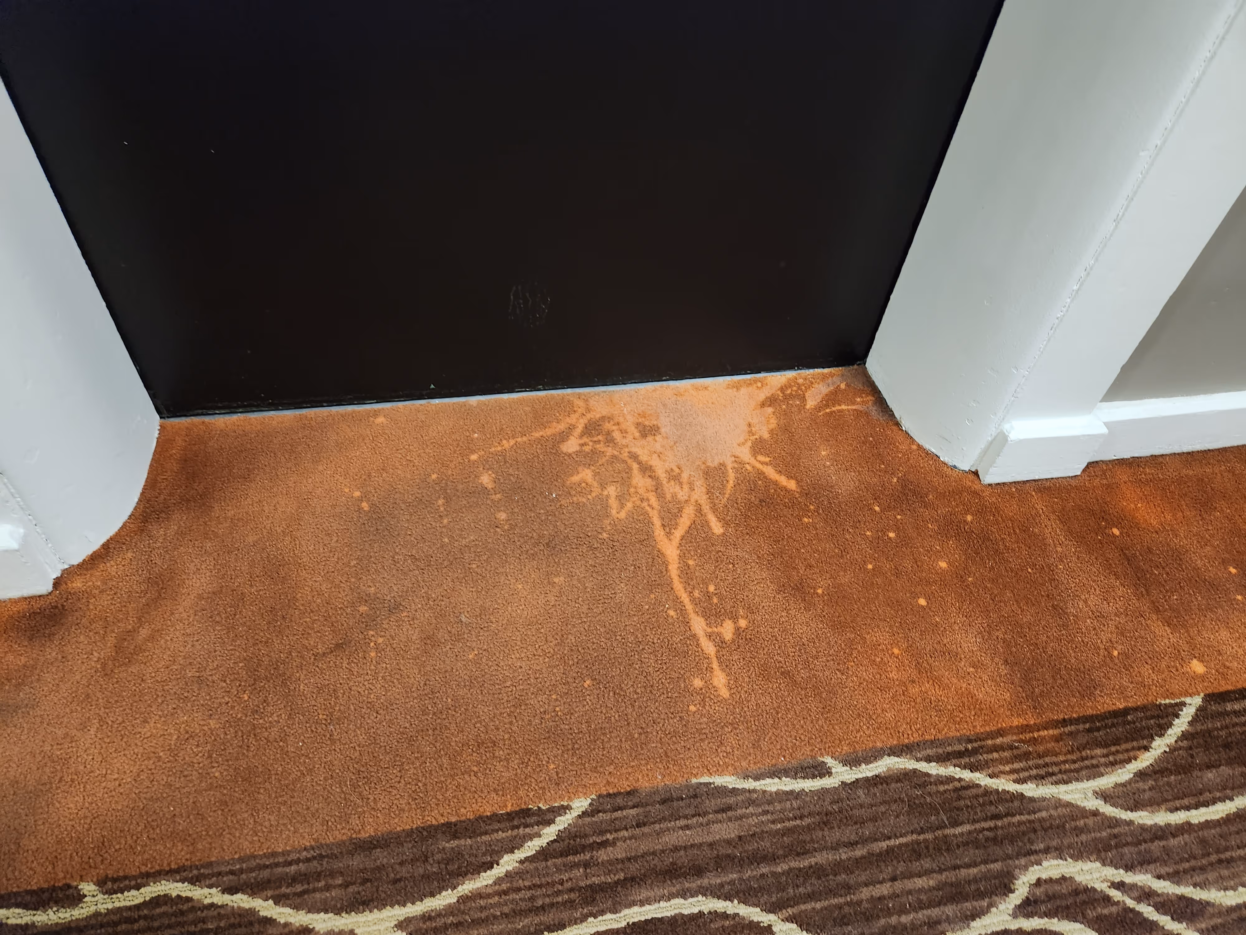 Person cleaning a carpeted staircase using a professional steam cleaning tool emitting steam.