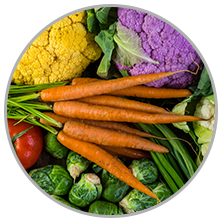 Orthodontics in Toronto