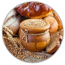 Orthodontics in Toronto