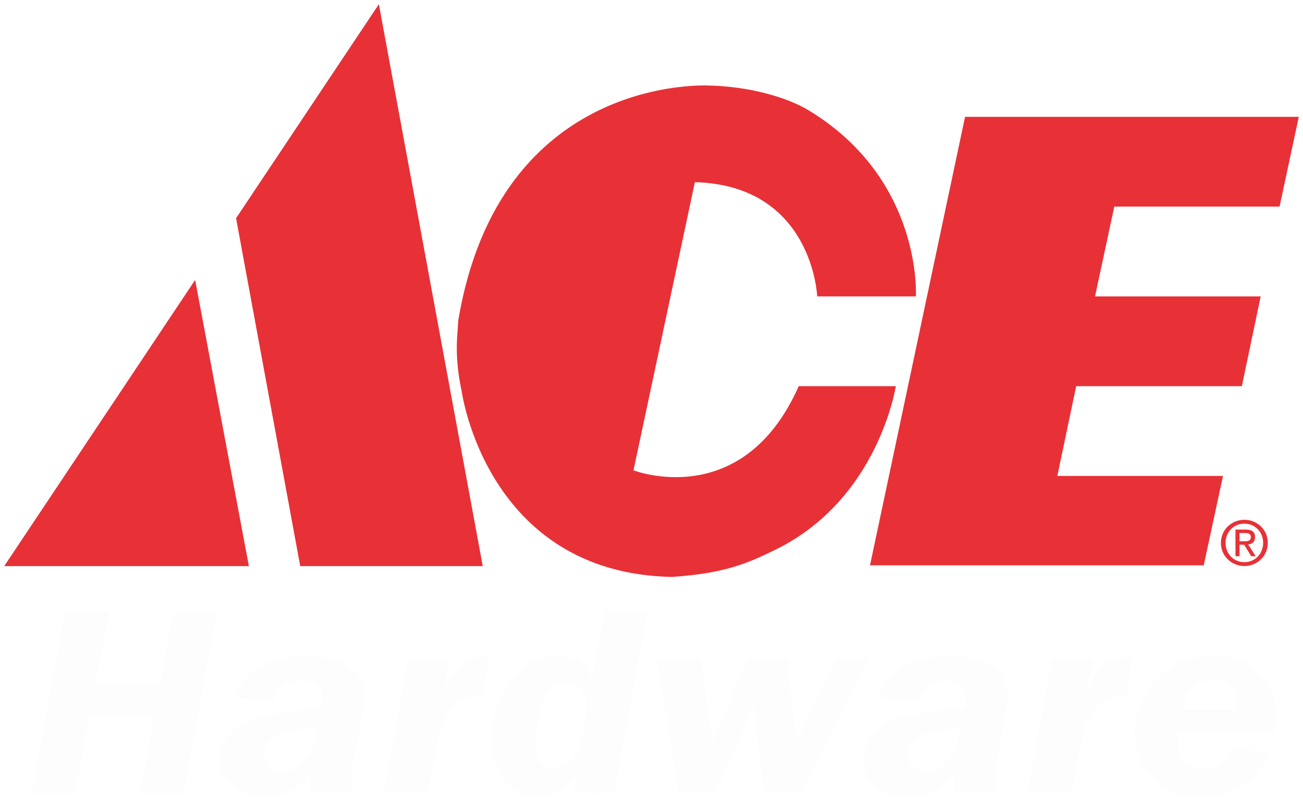 ACE Hardware logo with large red letters ACE and white italicized word Hardware below.