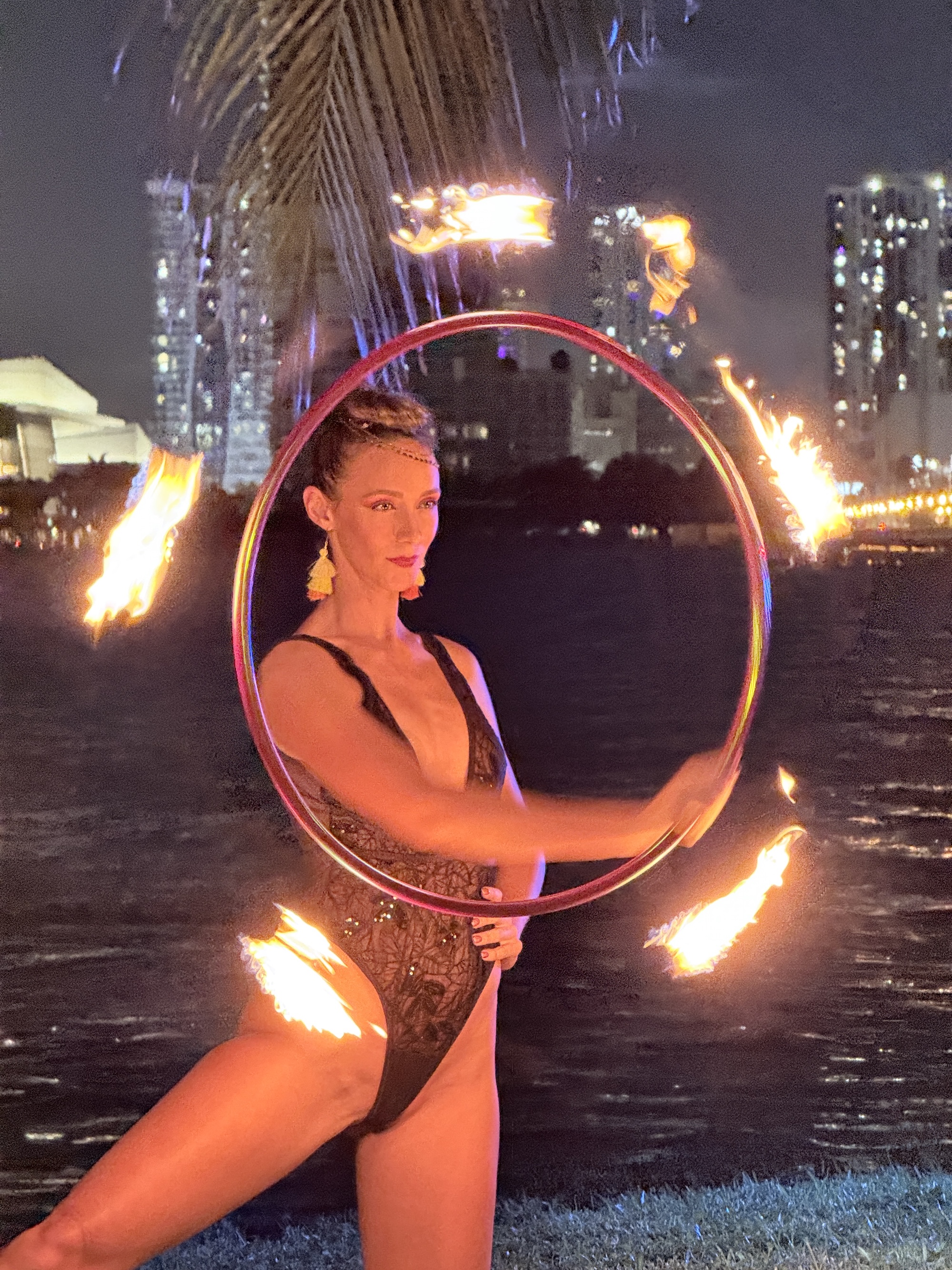 image of entertainment show at an amusement park