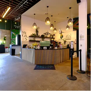 Modern cafe counter with hanging pendant lights, plants on shelves, and a polished concrete floor.