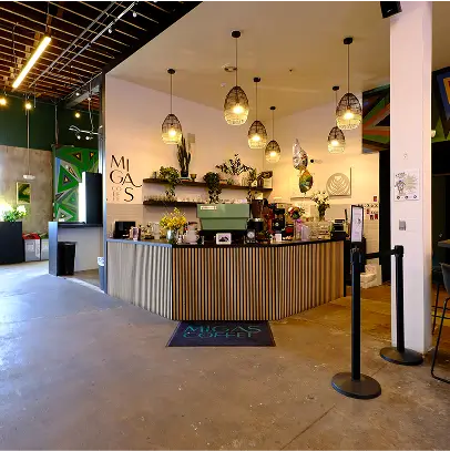 Modern coffee shop counter with hanging pendant lights and plants on shelves behind the counter.