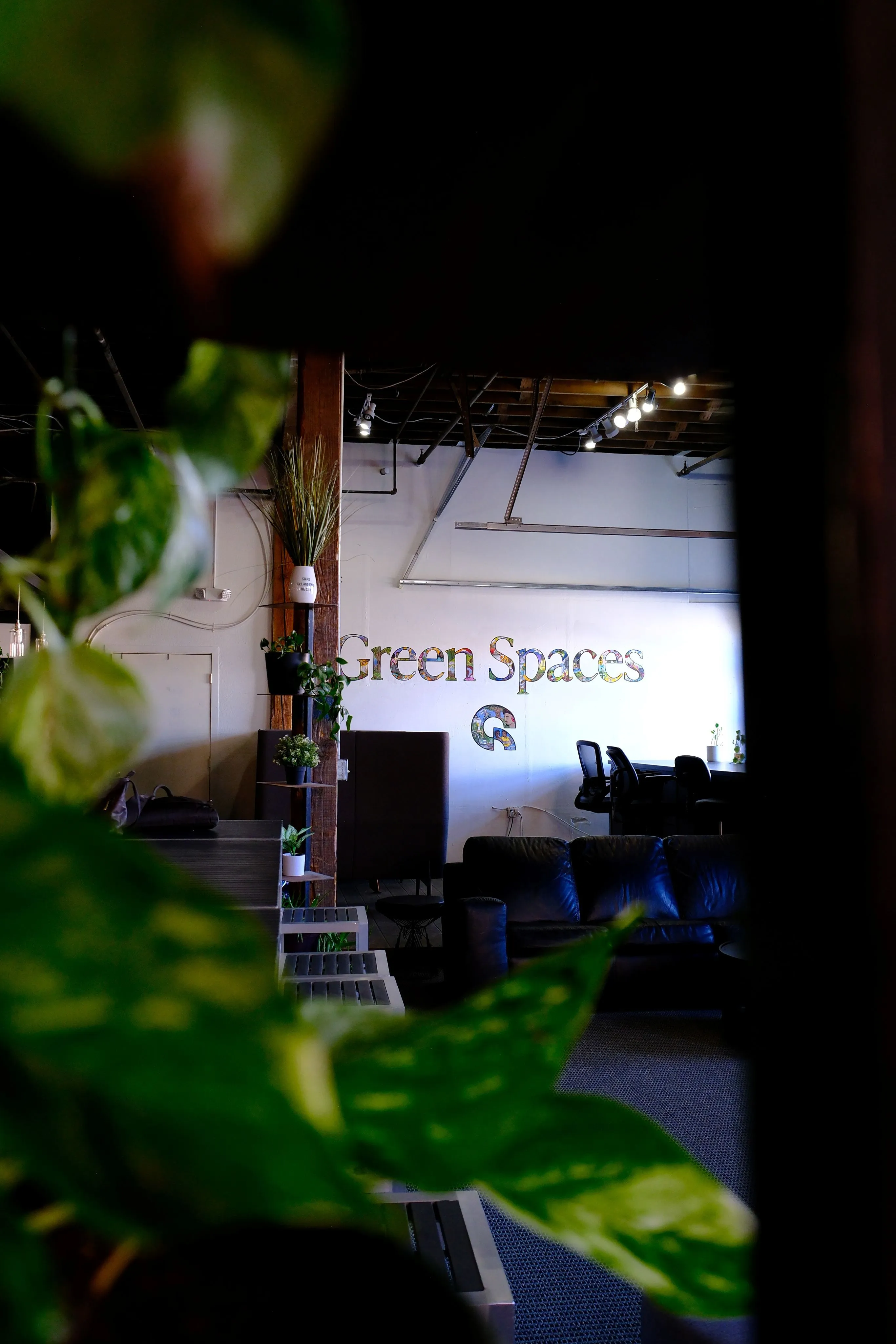 Interior of an office space with a wall sign that reads 'Green Spaces', plants in the foreground, black leather sofas, and office chairs around a table.