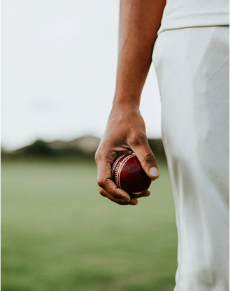 Cricket player getting ready to throw the ball.