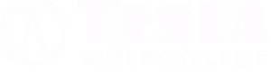 Tesla energy holdings logo