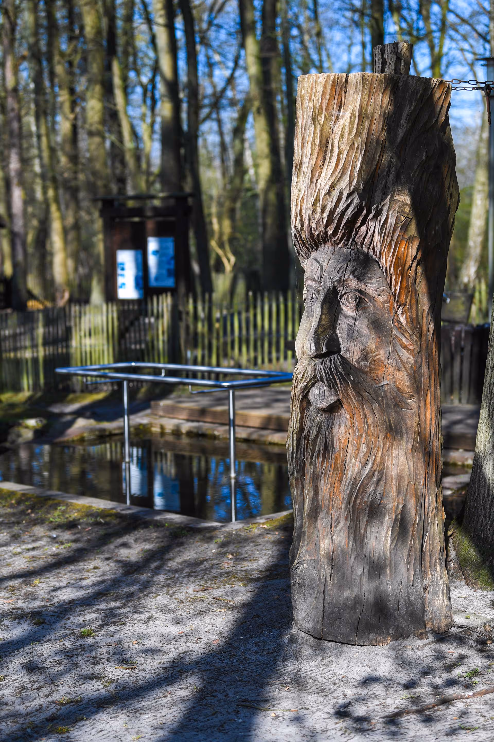 Ein Gesicht in einem Baumschamm