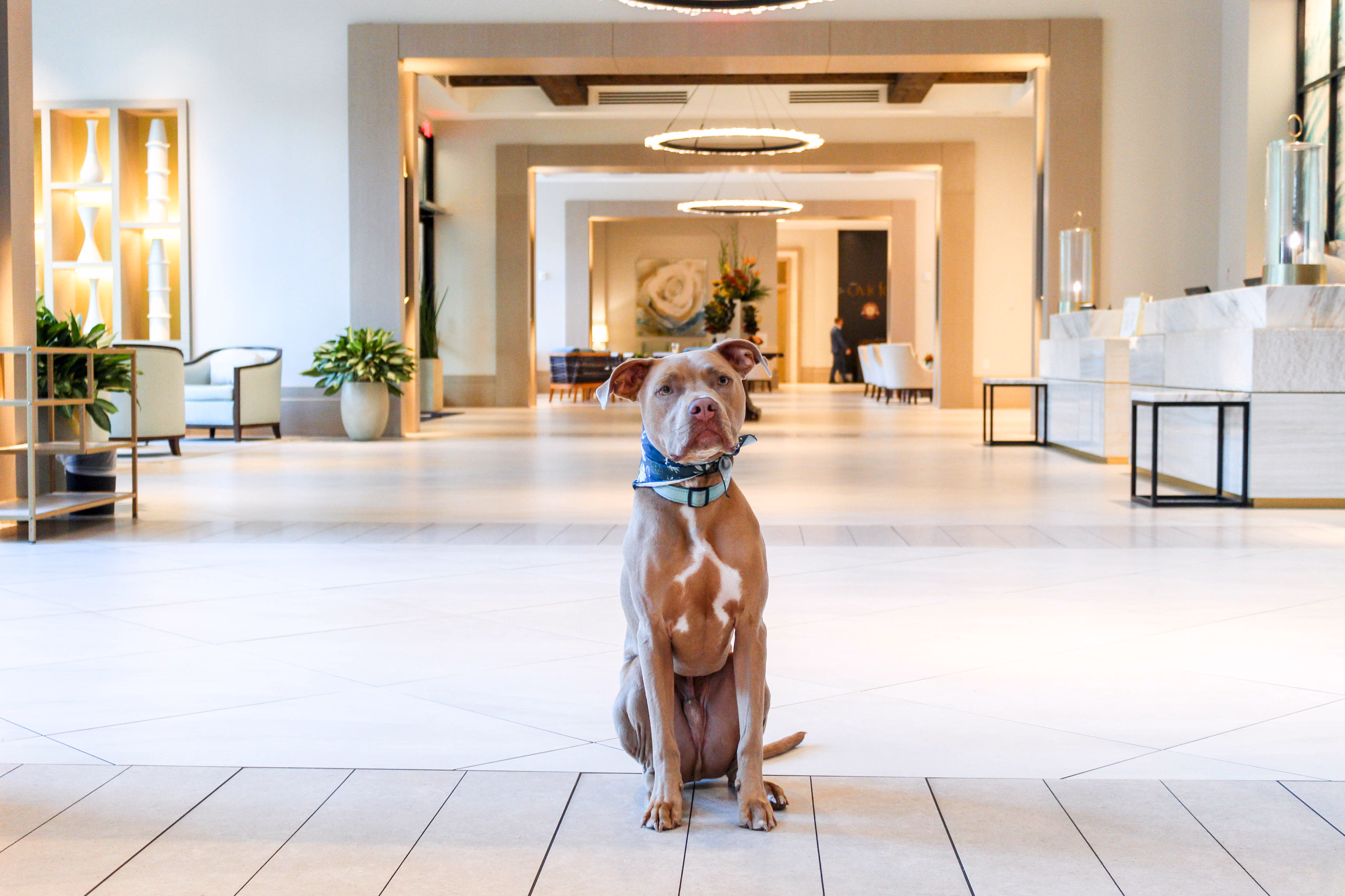 Hotel effie