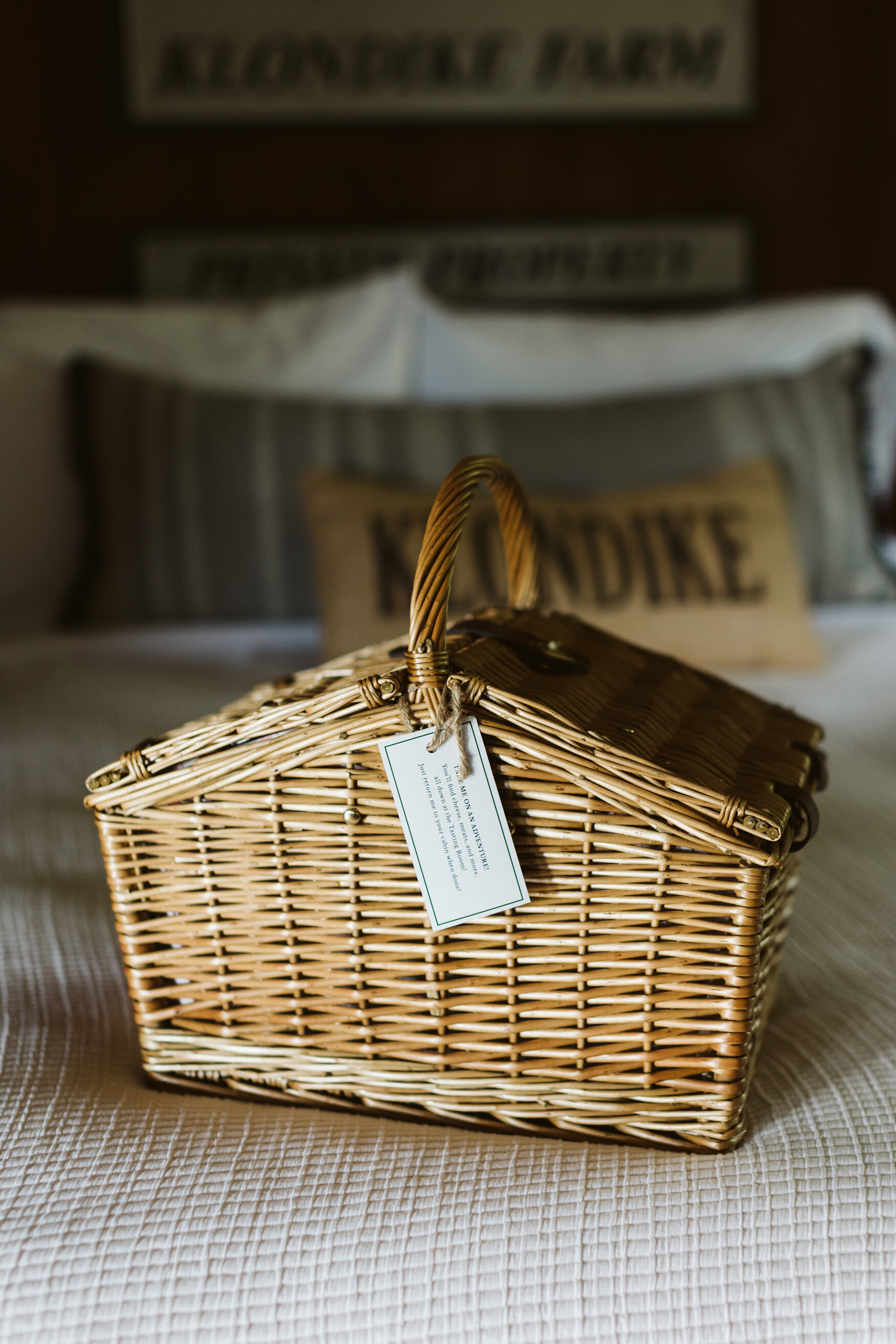 klondie-cabins-image-31