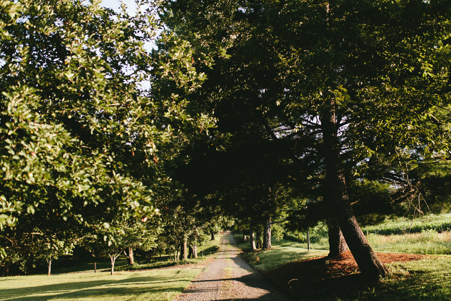 klondie-cabins-image-32