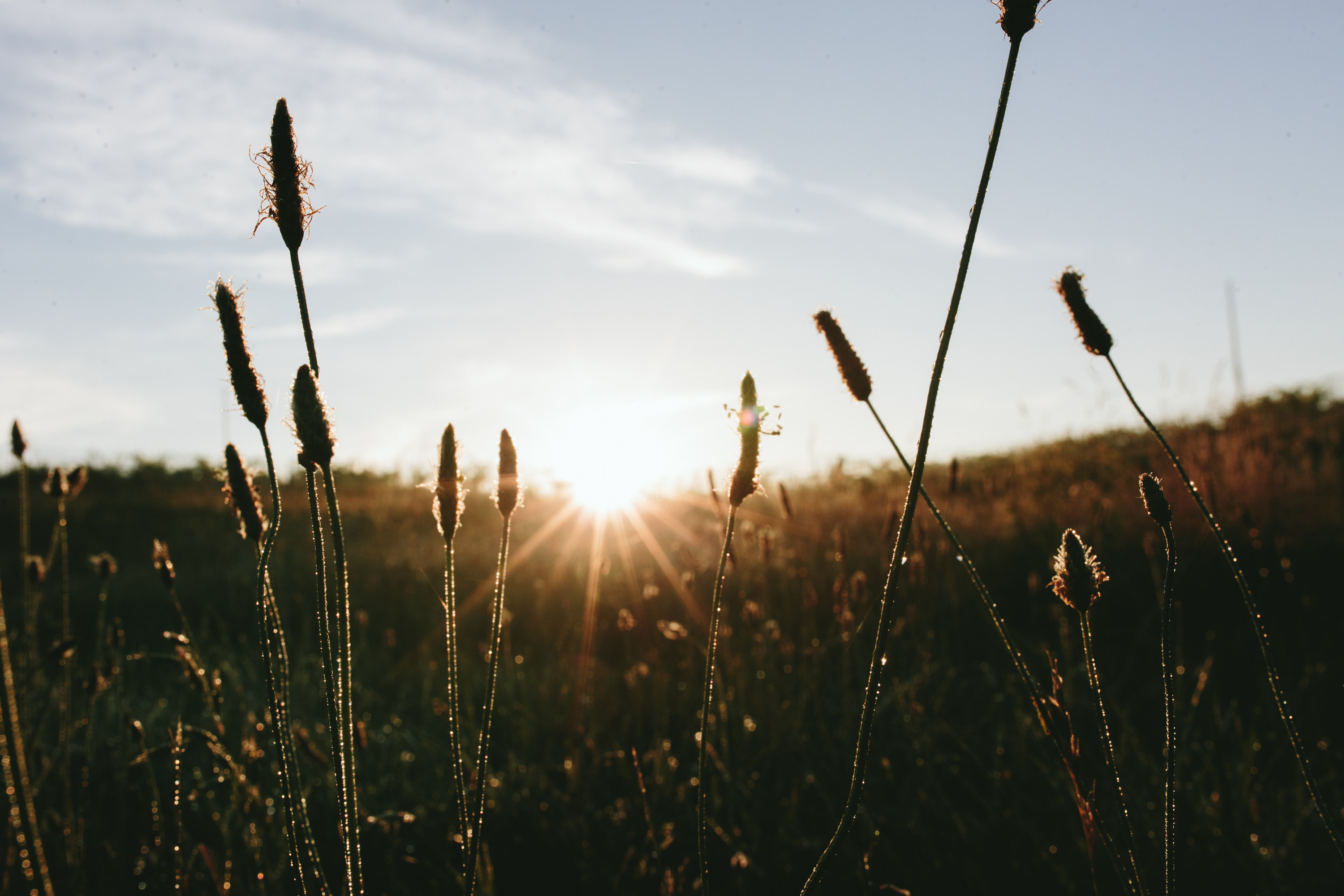 klondie-cabins-image-1