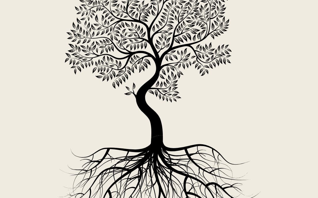 Illustration of a tree with an extensive root system, representing how integration is where real learning takes root.