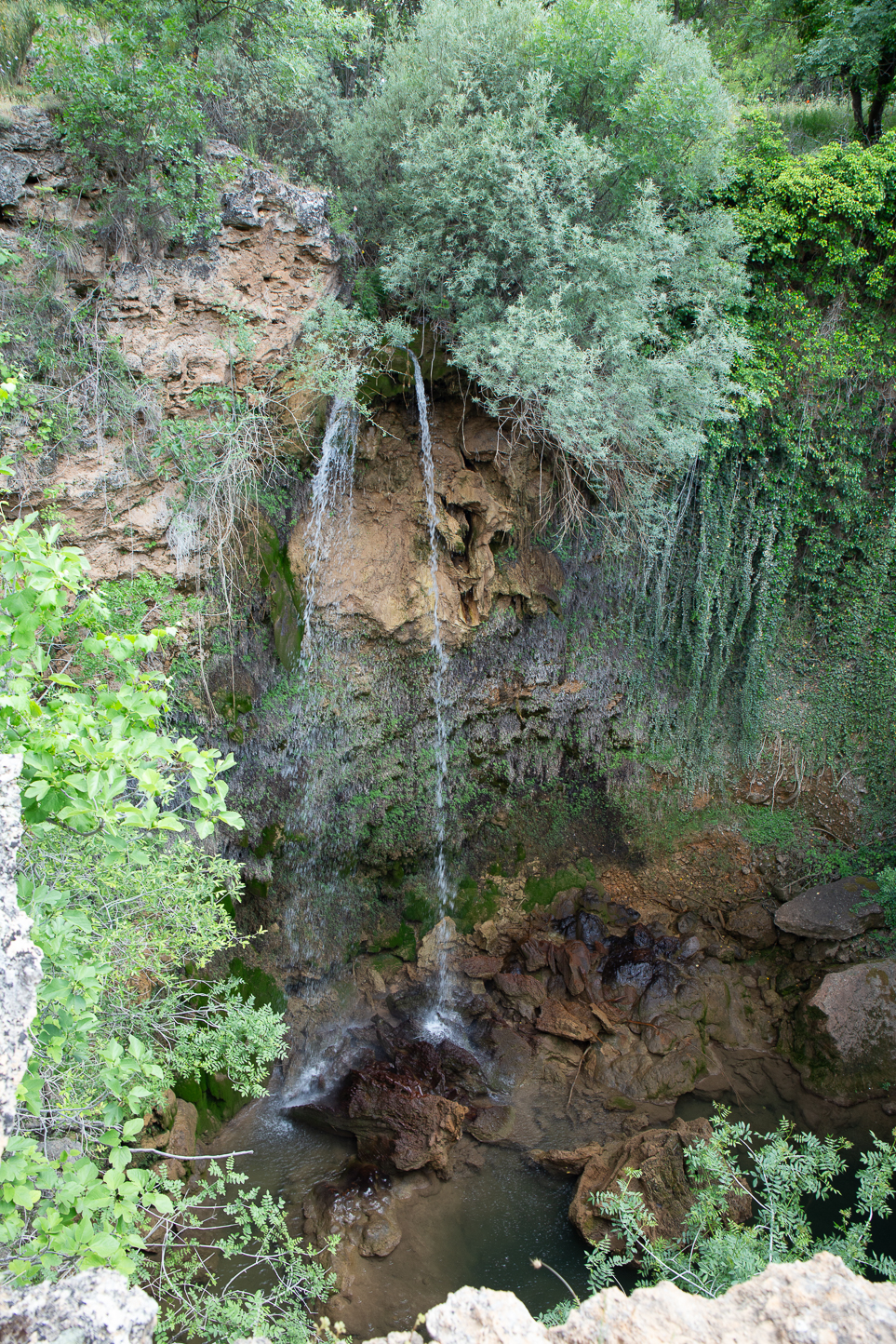 [background image] image of an inviting urban street near the restaurant