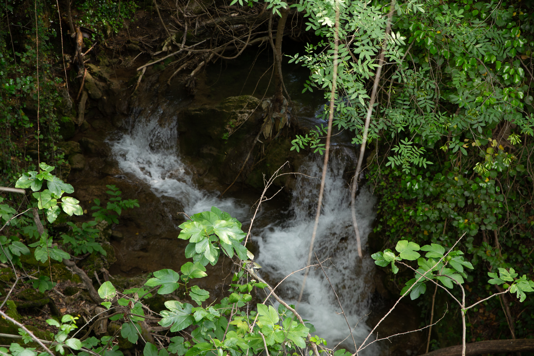 image of cozy restaurant interior (for an italian restaurant)