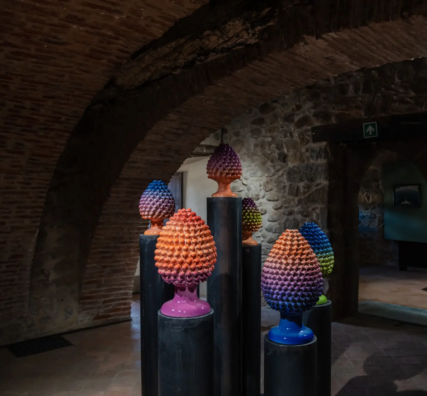 Salvatore_Arancio_Loblolly_Jack_Gray_Knobcone