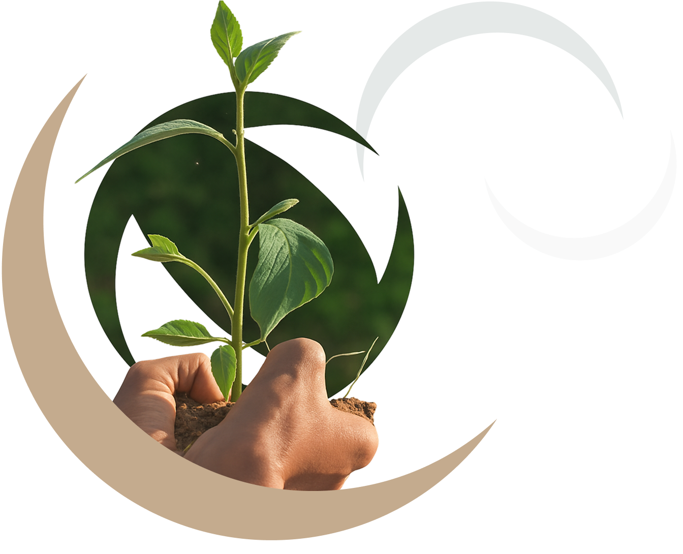 Compliance and sustainability image