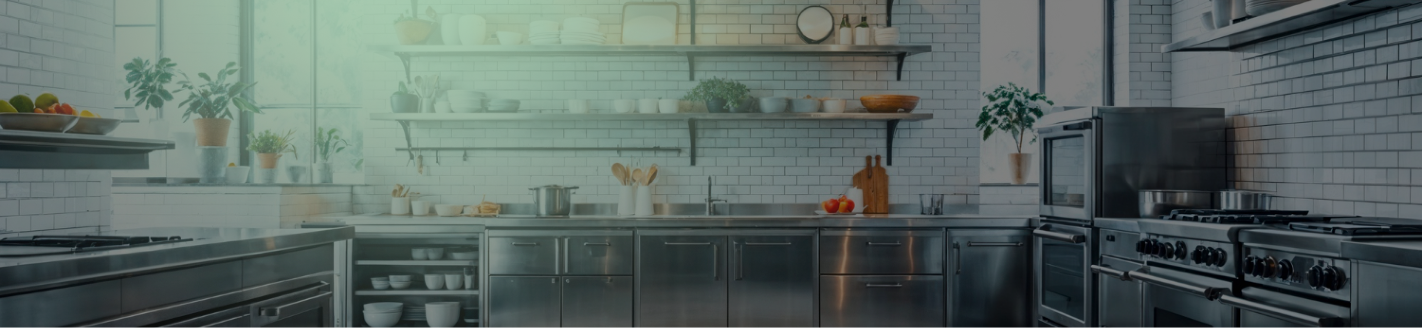 Modern commercial kitchen with stainless steel appliances, shelves with dishes, and potted plants by large windows.