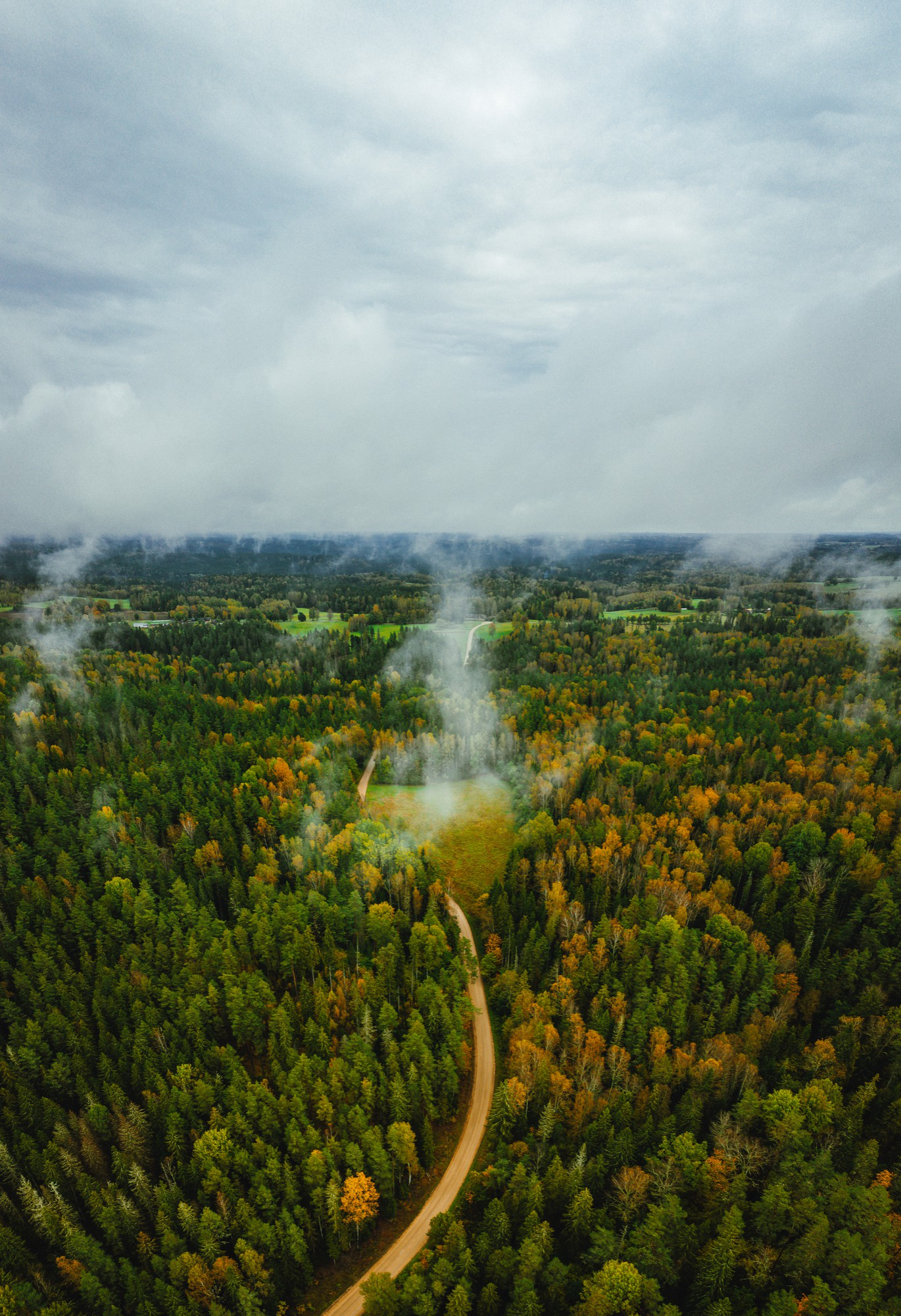 A winding dirt road cutting through a dense forest with autumn colors and mist rising among the trees under a cloudy sky.