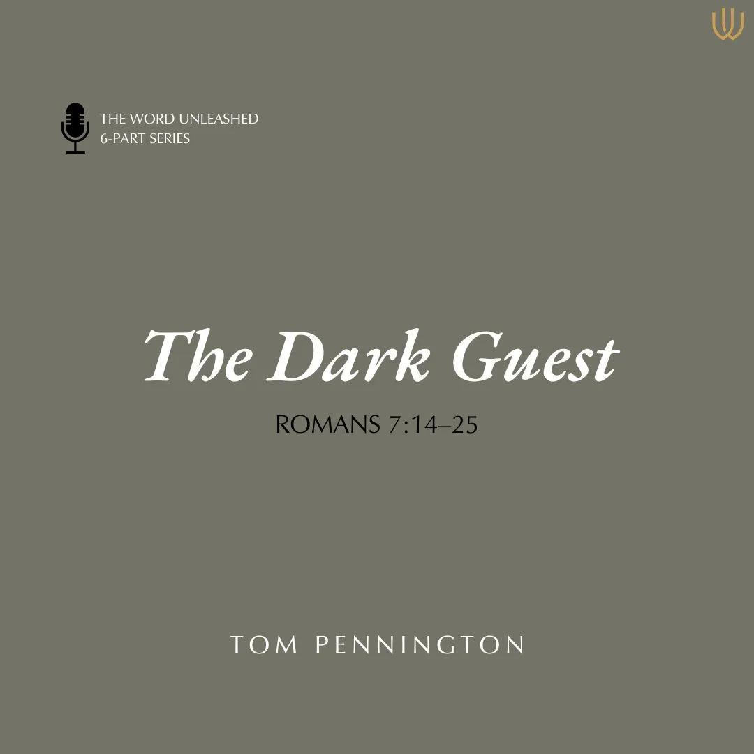 The Dark Guest