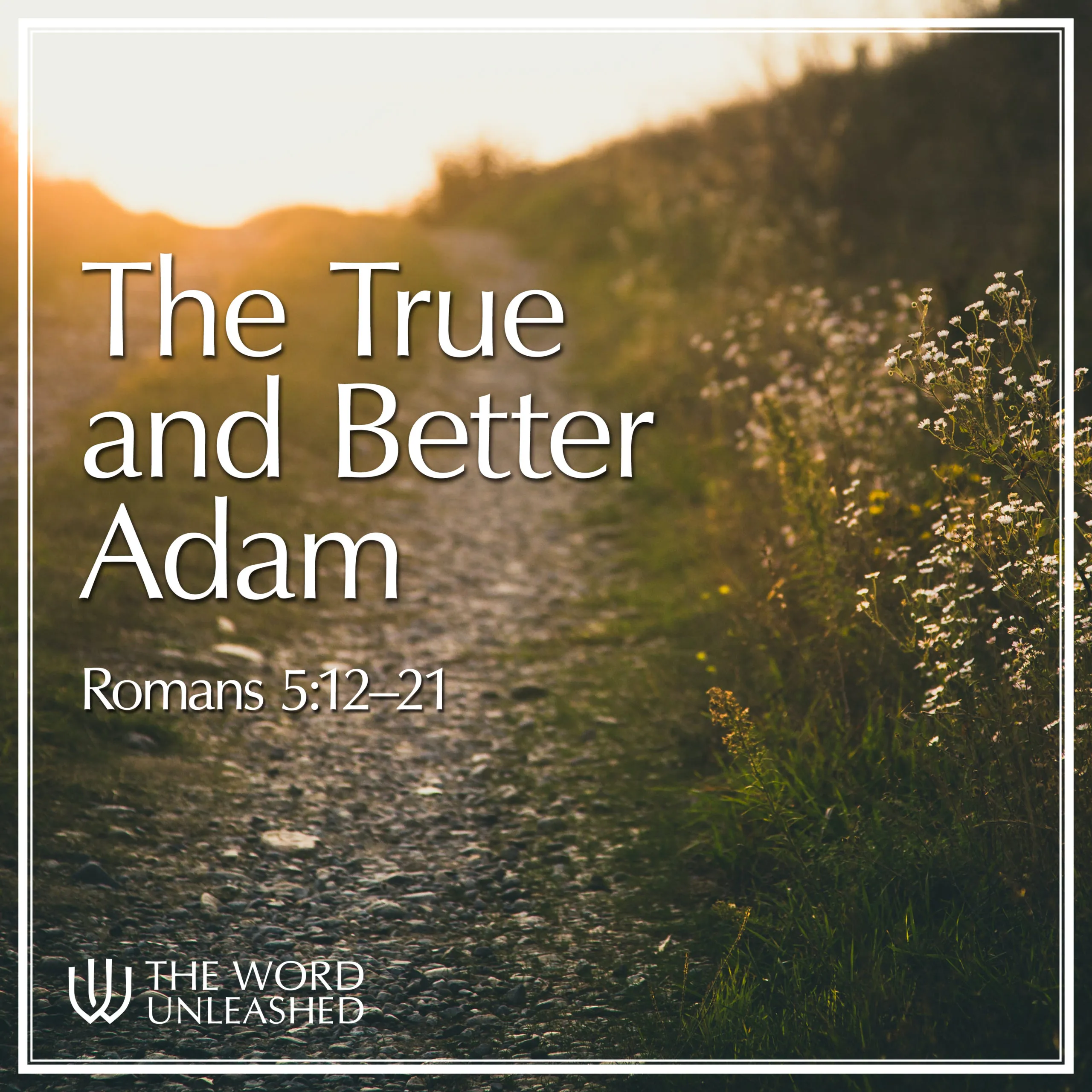 The True and Better Adam