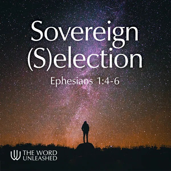 Sovereign (S)election