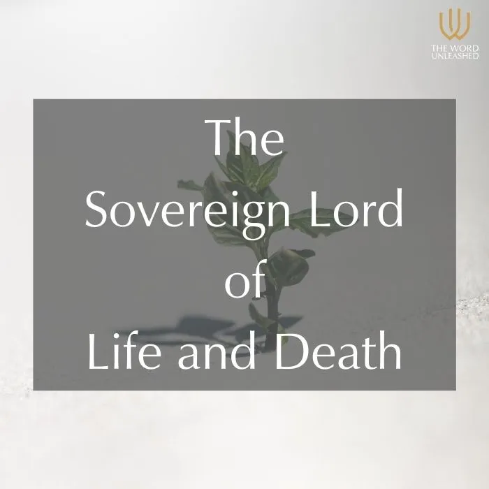 The Sovereign Lord