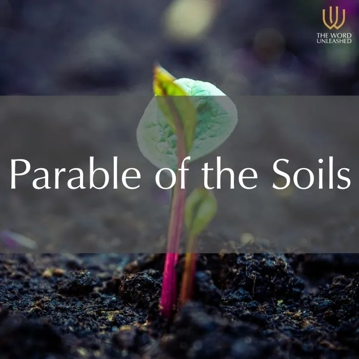 Good Fruit from Good Soil