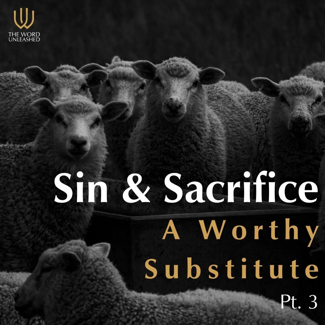 Sin & Sacrifice Pt. 3 - A Worthy Substitute