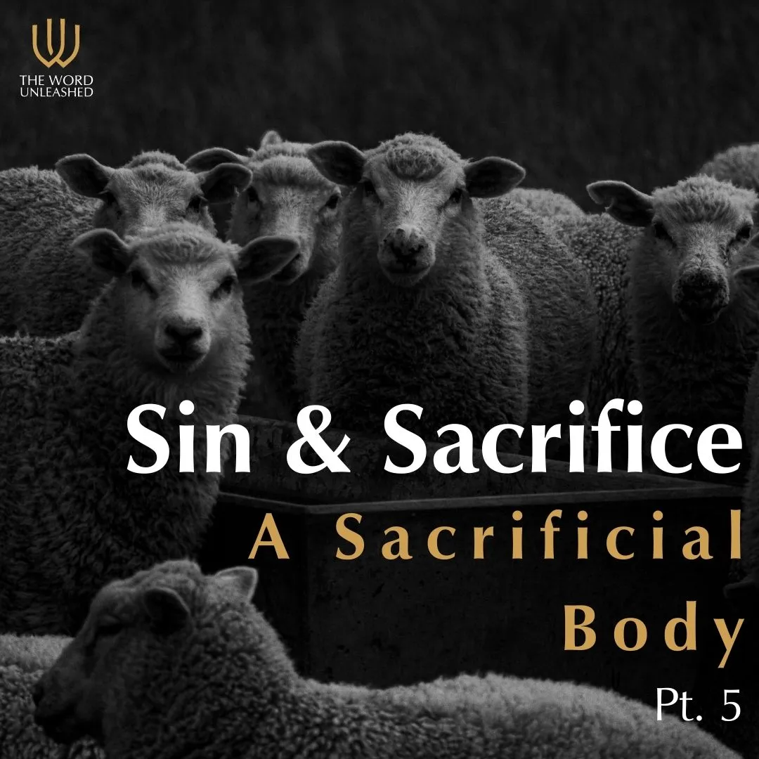 Sin & Sacrifice Pt. 5 - A Sacrificial Body