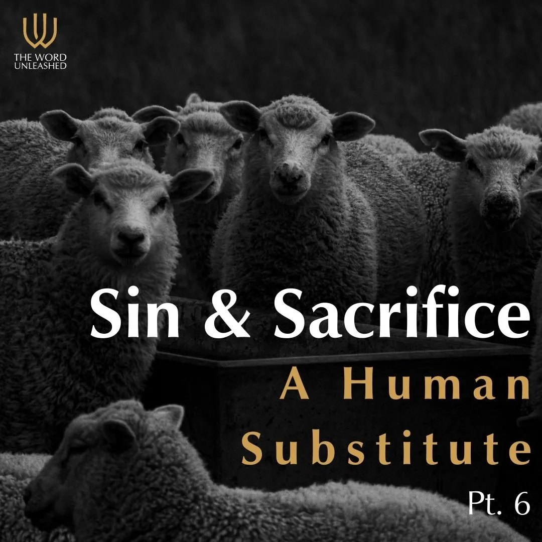 Sin & Sacrifice Pt. 6 - A Human Substitute