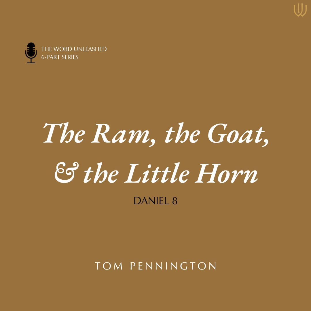 The Ram, the Goat & the Little Horn