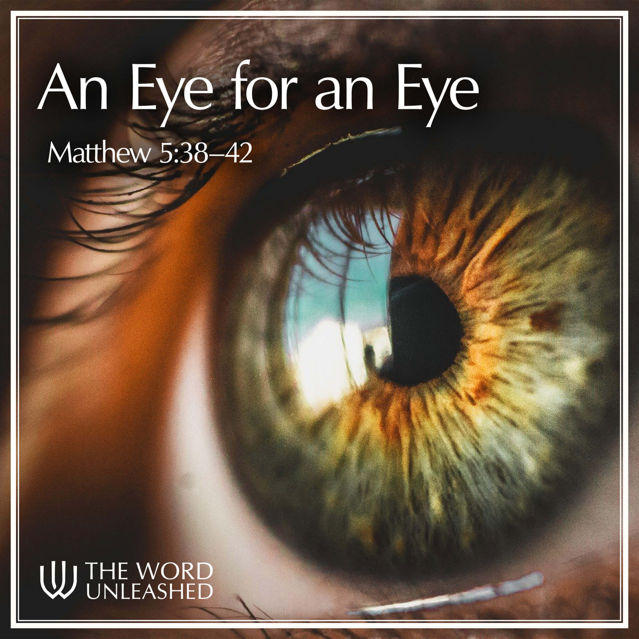 An Eye for an Eye