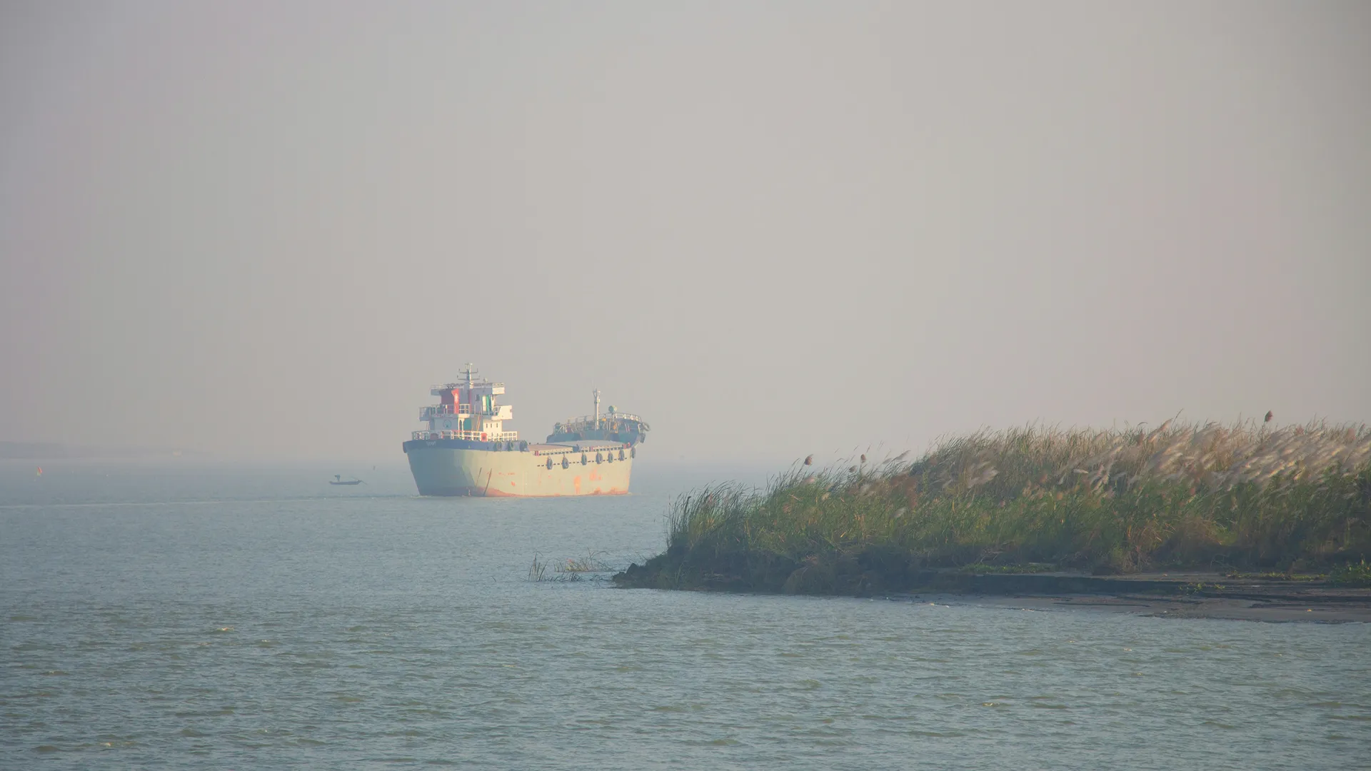 Cargo naviguant près d'une rive herbeuse sous un ciel brumeux.